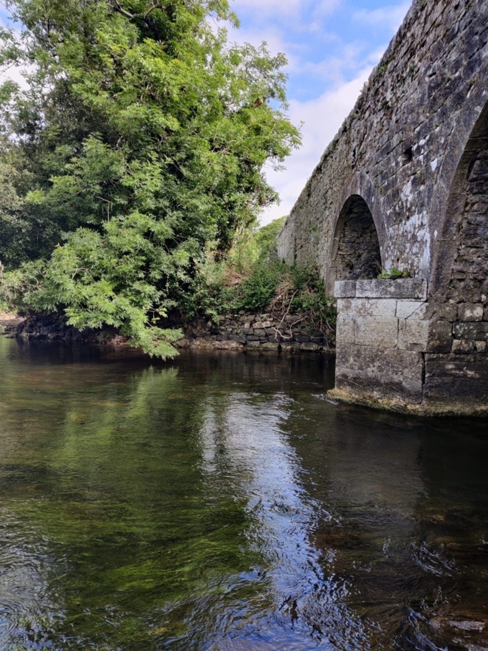 Castlestrange 3